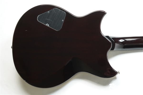 REVSTAR RS420 MAYA GOLD (MYG)
